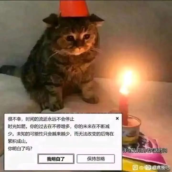mmexport1702531373088.jpg